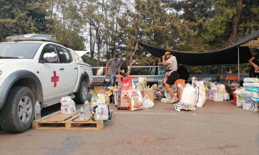 Φωτιές: Δραματική έκκληση του Ερυθρού Σταυρού για οικονομική βοήθεια στους πυρόπληκτους της Αττικής